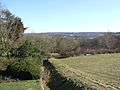 Ashdown Forest from Standen