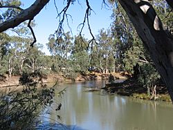 BalranaldMurrumbidgeeRiver