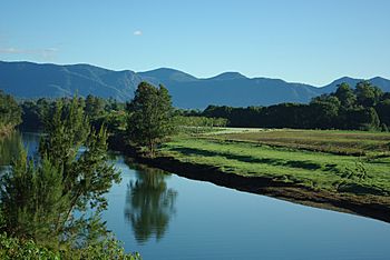 Bellinger River NSW 1.jpg