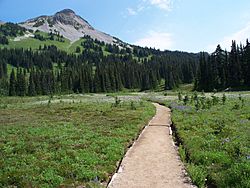 Black Tusk trail