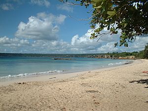 The beach of Boca de Yuma