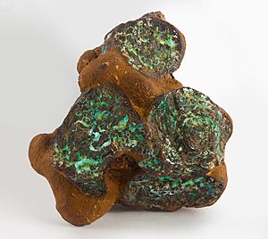 Boulder Opal