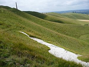 Cherhill White Horse 04