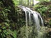 FallingWatersStateParkWaterfall.jpg