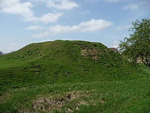 Fotheringhay motte, 2009