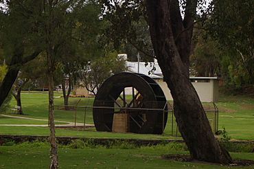 Gingin wheel gnangarra.JPG