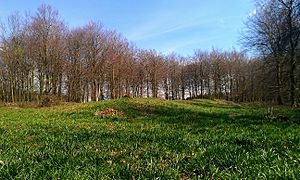 Jacket's Field Long Barrow I