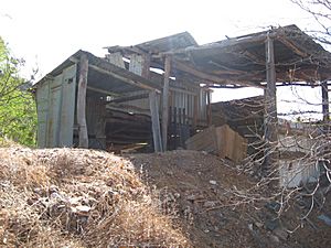 Kingsborough Battery (2009).jpg