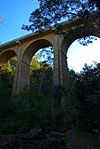 Knapsack Viaduct.jpg