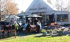 Lunch at the Matatoki Cheese Barn