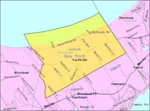 U.S. Census map of Northville