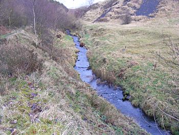 Piethorne Brook.jpg