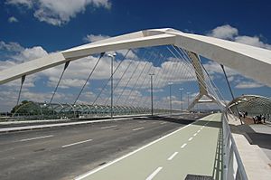 Puente del Tercer Milenio (Zaragoza)