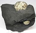 Pyrite-117549