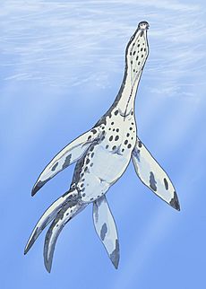 Rhomaleosaurus victor