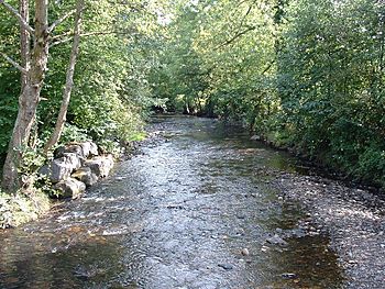 River Llynfi - geograph.org.uk - 53546.jpg