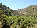 Sangabrielcanyon