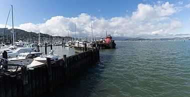 Sausalito Yacht Harbor panorama