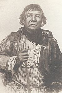 Shabbona (chief)1.jpg