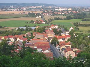 Soernewitz-von-Bosel-050716.jpg