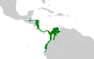 Thamnophilus atrinucha map.svg
