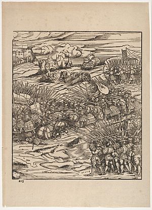 The Battle of the Spurs, from Der Weisskunig MET DP834057