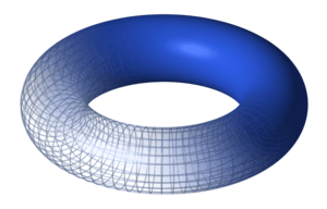 Torus