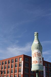 Vess bottle.jpg