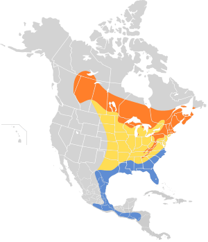 Vireo solitarius map.svg