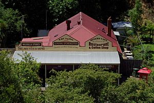 Walhalla general store Stevage