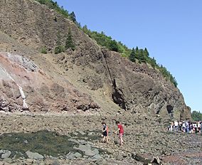 Wasson Bluff, Nova Scotia.jpg