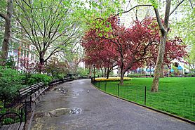 3139-Madison Square Park