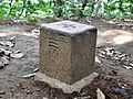 3rd class triangulation point in Shiroyama Park in Inagi