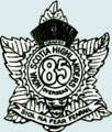 85capbadge