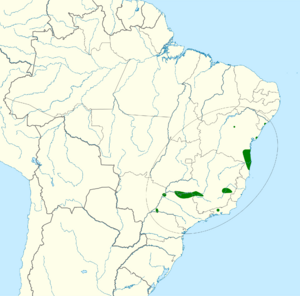 Aratinga auricapillus map.svg