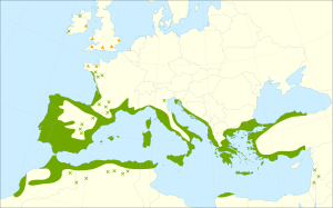 Arbutus unedo range.svg