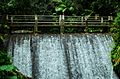 Baño Grande en El Yunque, Puerto Rico