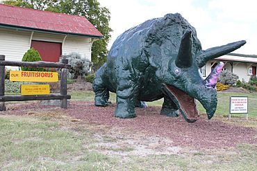 Ballandean triceratops.jpg