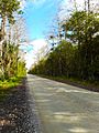 Big Cypress National Preserve SR 94 02