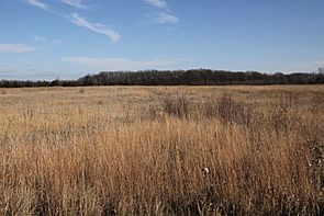 Birch coulee battlefield.jpg