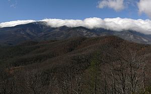 Black Mountains-27527-2.jpg