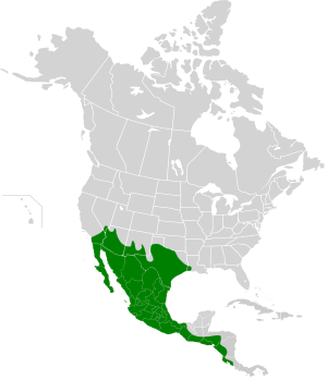 Columbina inca map.svg