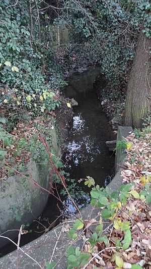 Edgwarebury Brook from Glendale Avenue