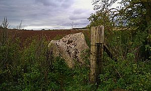 Falkner's Circle from Trackway.jpg