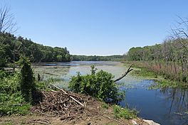 Hocomonco Pond, Westborough MA.jpg