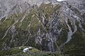 Hutton's Research Hut Kowhai Colony