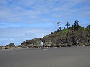 La Push Beach2