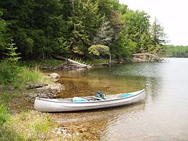 Michigan's Loon Lake.jpg