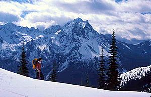 Mt Skokomish Wilderness