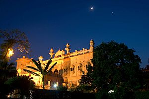 Mustafa Castle -- night shot